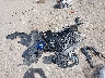 2C3CCASG7NH****** Salvamento 2022 Chrysler 300 en Estado de Iowa