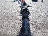 JYARM32E3MA****** Salvamento y Reparables 2021 Yamaha MT-07 en Estado de Texas
