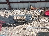5GAERCKW8RJ****** Wrecked 2024 Buick Enclave in Texas State