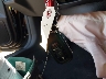 2HGFE4F83TH****** Salvamento 2026 Honda Civic Hybrid en Estado de Texas