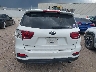 5XYPGDA51KG****** Used 2019 Kia Sorento