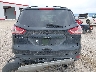 1FMCU9G97DU****** Used 2013 Ford Escape