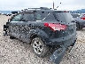 1FMCU9G97DU****** Salvage and Repairable 2013 Ford Escape in Missoula
