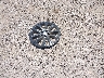 1C4PJMMX3MD****** Wrecked 2021 Jeep Cherokee in Texas State