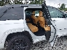 1C4RJHEG3S8****** Wrecked 2025 Jeep Grand Cherokee in Seattle