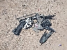 1G1ZE5ST0HF****** Salvage 2017 Chevrolet Malibu in Arizona State