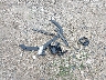 3GTU9CET8MG****** Wrecked 2021 GMC Sierra 1500 in Wisconsin State