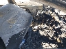 3GN7DMRR8TS****** Used and Repairable 2026 Chevrolet Equinox EV in California State
