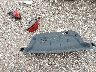 1N4BL4CV0KC****** Wrecked 2019 Nissan Altima in Texas State