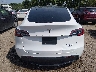 5YJYGDEE4MF****** Wrecked 2021 Tesla Model Y
