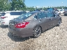 1N4AL3AP3HC****** Salvage and Wrecked 2017 Nissan Altima in Massachusetts State