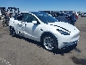 7SAYGDEEXPA****** Salvage and Wrecked 2023 Tesla Model Y in Phoenix