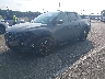 5NTJDDDF2RH****** Used and Repairable 2024 Hyundai Santa Cruz in Englishtown