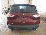 1FMCU9G66MU****** Wrecked 2021 Ford Escape