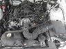1ZVHT80N095****** Reparables 2009 Ford Mustang en Elkton