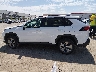 2T3W1RFVXPC****** Reparables 2023 Toyota RAV4 en Estado de Texas