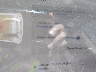 5YJ3E1EA9NF****** Destrozados 2022 Tesla Model 3