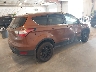 1FMCU9GD4HU****** Salvamento y Destrozados 2017 Ford Escape en Estado de Michigan