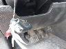 3C6LRVDGXPE****** Salvamento 2023 RAM Promaster 2500 en Estado de Texas