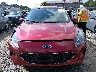 1FMCU9G61MU****** Wrecked 2021 Ford Escape in West Virginia State