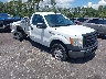 1FTMF1CM5DK****** Salvage and Wrecked 2013 Ford F-150 in Jacksonville