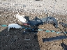 1C4PJMBS1GW****** Salvage and Wrecked 2016 Jeep Cherokee in Buckhannon