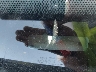 3FAHP0JA6CR****** Used 2012 Ford Fusion in Fort Worth North