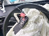 JTDKARFP7K3****** Salvage 2019 Toyota Prius Prime in Tennessee State