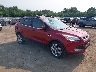 1FMCU9H95DU****** Salvage and Wrecked 2013 Ford Escape in South Bend