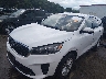5XYPGDA32KG****** Usados y Reparables 2019 Kia Sorento en Buckhannon