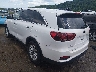 5XYPGDA32KG****** Salvamento y Reparables 2019 Kia Sorento en Buckhannon