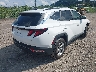 5NMJBCDE7RH****** Salvamento y Destrozados 2024 Hyundai Tucson en Estado de Pennsylvania