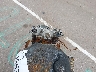 JYA5N8007CA****** Salvage 1982 Yamaha Seca in Sioux Falls
