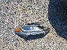 KMHD84LF9HU****** Wrecked 2017 Hyundai Elantra in Virginia State