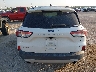 1FMCU0H60MU****** Wrecked 2021 Ford Escape