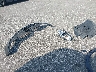 JN8AZ2NE1C9****** Usados y Reparables 2012 Infiniti QX56 en Indianapolis South