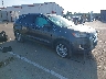 2FMPK3J94LB****** Salvamento y Destrozados 2020 Ford Edge en Fort Wayne