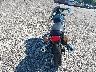 ME3FPN472RK****** Salvage and Repairable 2024 Royal Enfield Continental GT in Illinois State