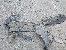 3C4NJDBN4ST****** Wrecked 2025 Jeep Compass in Louisiana State