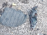 5NPD84LFXJH****** Wrecked 2018 Hyundai Elantra in Georgia State