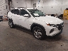 5NMJBCAEXPH****** Salvamento y Destrozados 2023 Hyundai Tucson en Central New Jersey