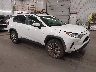 2T3C1RFV8KC****** Salvage and Wrecked 2019 Toyota RAV4 in Saint Cloud