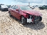 4T1BF1FKXHU****** Salvage and Wrecked 2017 Toyota Camry in Corpus Christi
