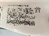5J8TC1H50KL****** Used 2019 Acura RDX in Springfield