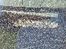 1FTPW12594K****** Repairable 2004 Ford F-150