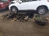5XYPG4A34KG****** Wrecked 2019 Kia Sorento in Oregon State