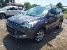 1FMCU9GX5GU****** Used and Repairable 2016 Ford Escape in Detroit