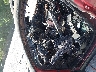 1C4PJLCS9HW****** Used and Repairable 2017 Jeep Cherokee in Virginia State