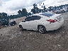 1N4AL3AP1EC****** Repairable 2014 Nissan Altima in Kentucky State