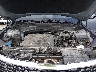5XYP5DHC3LG****** Repairable 2020 Kia Telluride in Austin North